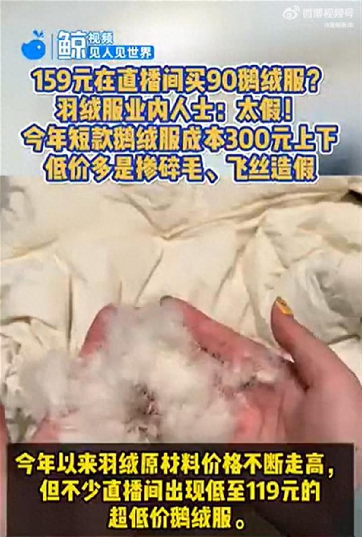 商家大卖数万单	，你百元到手的鹅绒服可能掺了猪毛狗毛_商家大卖数万单，你百元到手的鹅绒服可能掺了猪毛狗毛_