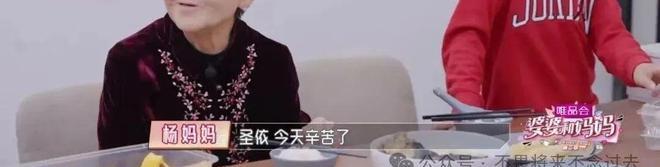 _离婚后想要回孩子的抚养权_黄圣依说周星驰很用力